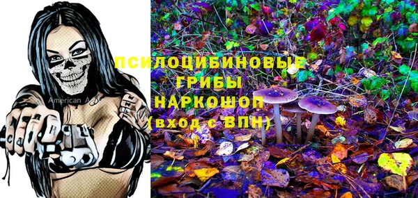 тгк Алексин