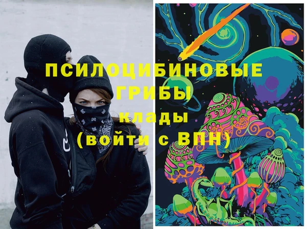 тгк Алексин