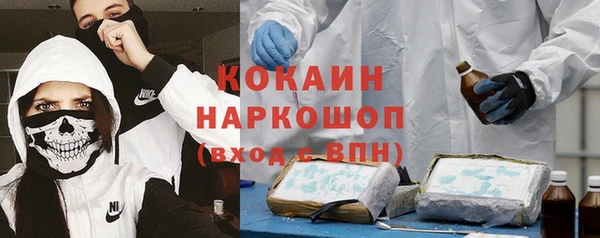 тгк Алексин