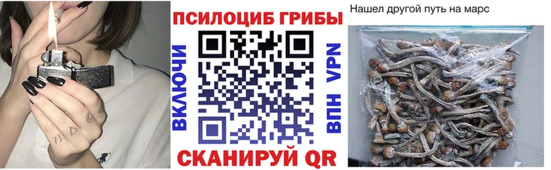 Псилоцибиновые грибы Psilocybe  Томмот 
